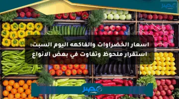 أسعار الخضراوات والفاكهة اليوم السبت: استقرار ملحوظ وتفاوت في بعض الأنواع